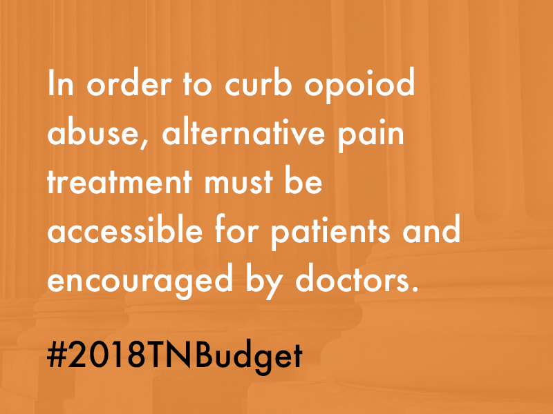 #2018TNBudget